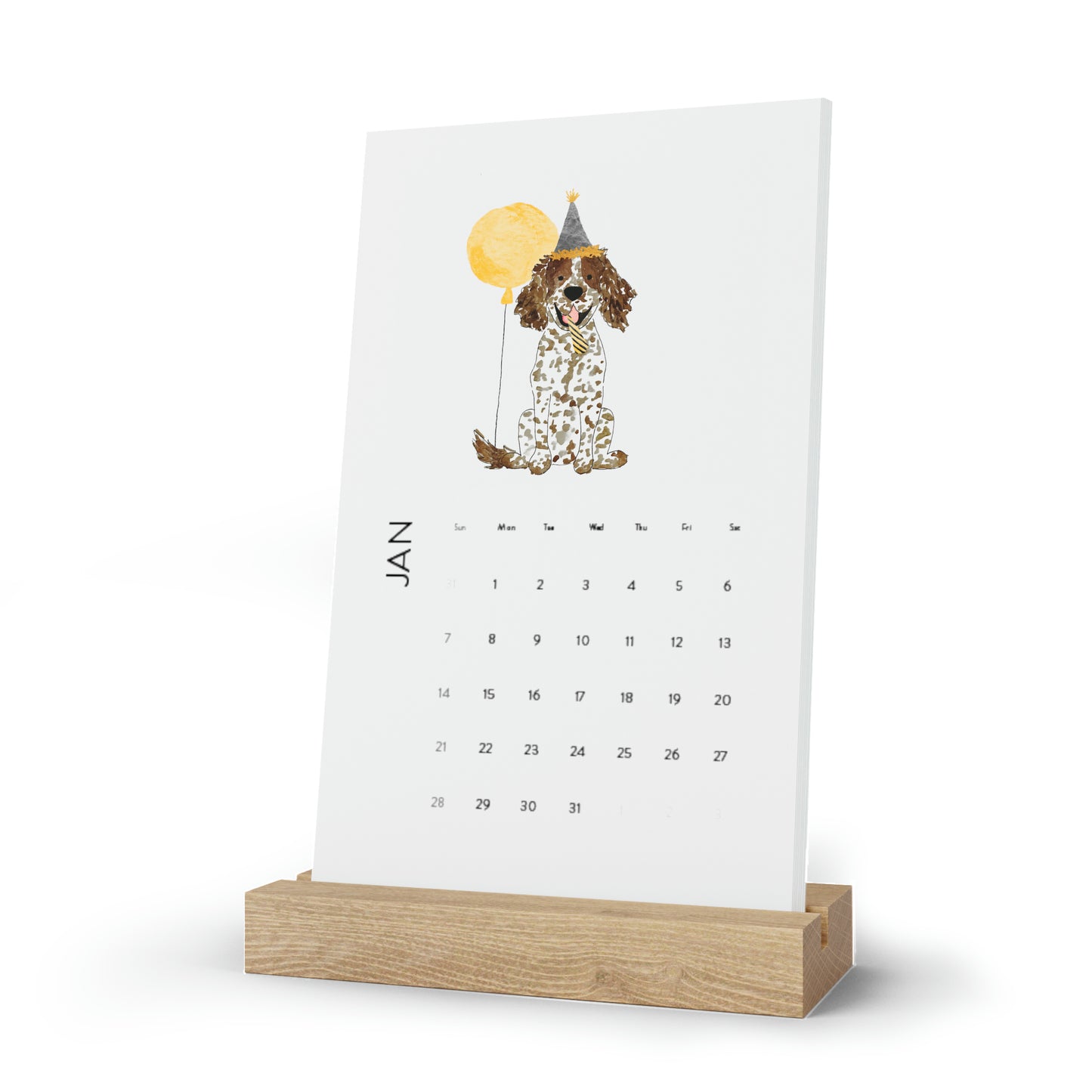 Brown Parti Spaniel 2024 Calendar