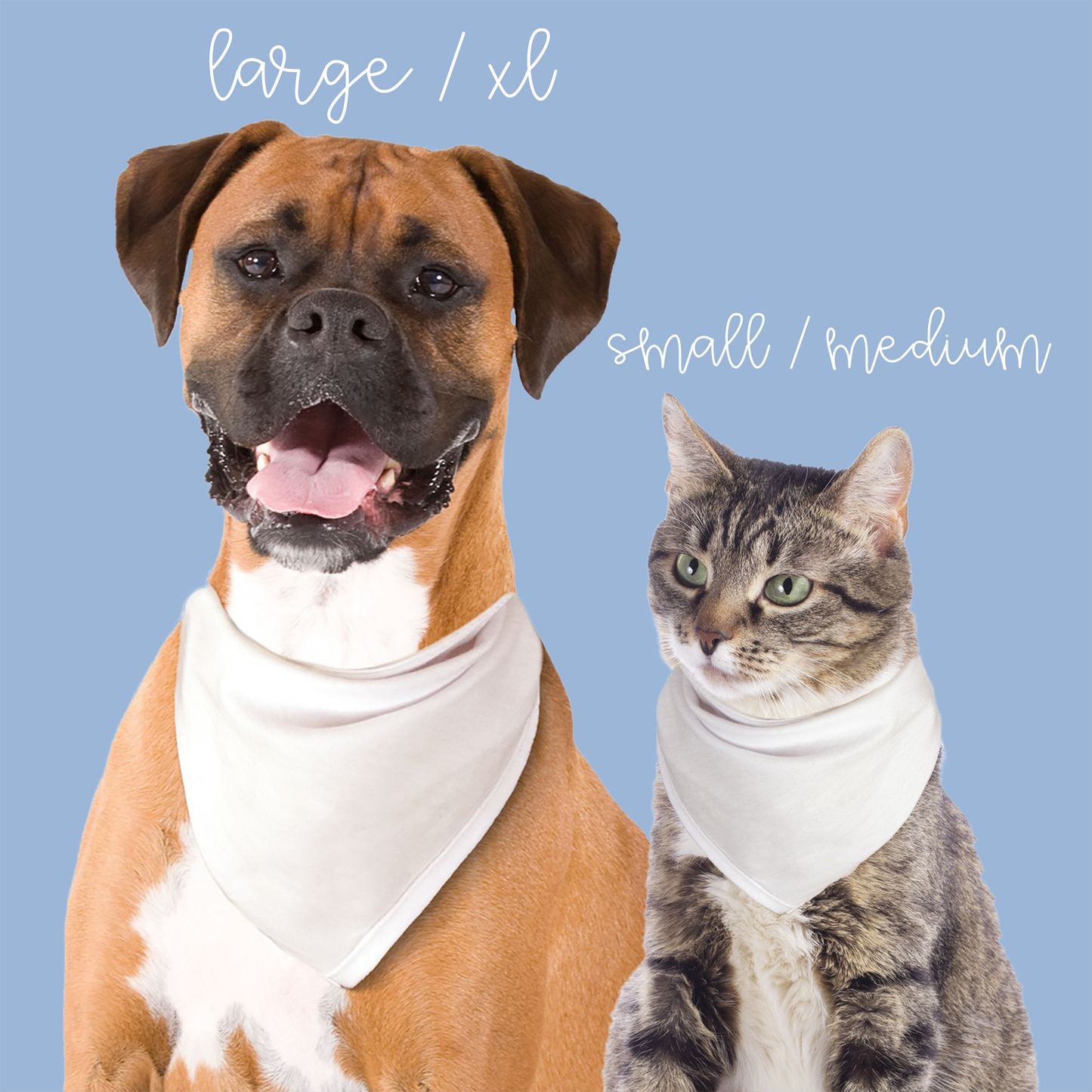 Personalized Blue Gingham Pet Bandana