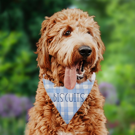 Personalized Blue Gingham Dog Bandana