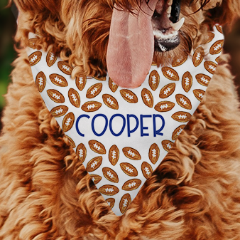 Personalized Football Pattern Dog Bandana