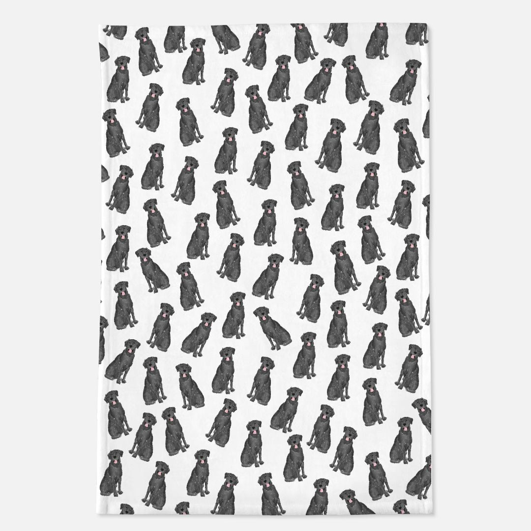 Lab Minky Blanket - 40" x 60"