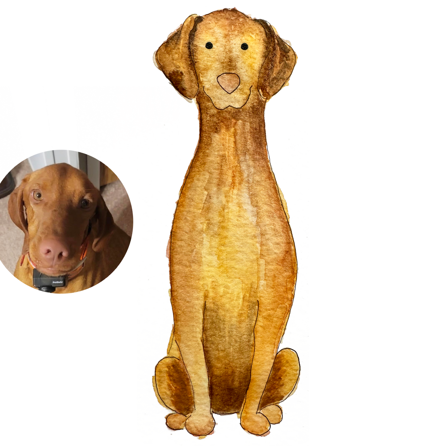 Custom Watercolor Pet Illustration