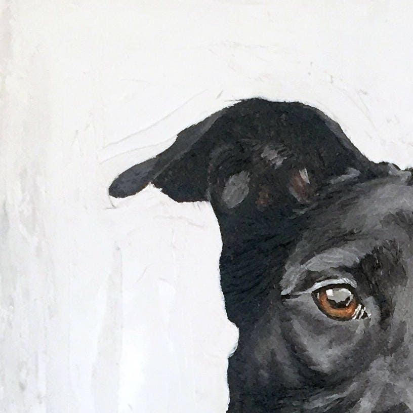 6 x 6 Custom Oil Painted Pet Portrait
