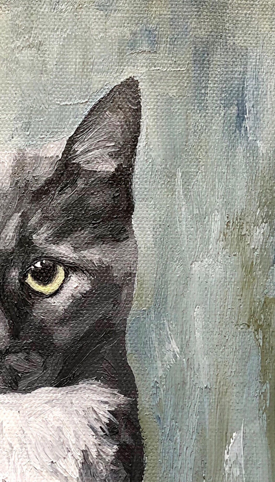 8 x 8 Custom Oil Painted Pet Portrait