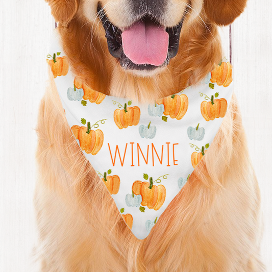 pumpkin dog bandana for fall. Personalize with your pet's name
