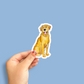 Lab Decal Stickers