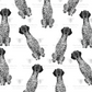 german shorthaired pointer baby items