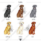 Lucky St. Patrick's Day Black Lab Garden Flag