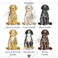 Festive Christmas Mix and Match Pet Garden Flag