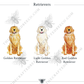 Festive Christmas Mix and Match Pet Garden Flag