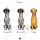 Patriotic German Shorthaired Pointer Tea Towel