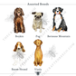 Festive Christmas Mix and Match Pet Garden Flag