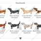 Golf Tournament Patron Mix and Match Pet Garden Flag | Golf Garden Flag