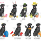 Black Lab 2024 Calendar