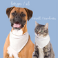 Mardi Gras King Cake Dog Bandana