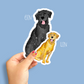 Lab Decal Stickers