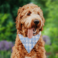 Personalized Blue Gingham Dog Bandana