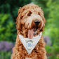*Custom Crest Add On* Dog Bandana