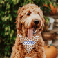 Personalized Football Pattern Dog Bandana