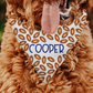 Personalized Football Pattern Dog Bandana