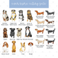 Sporty Football Mix and Match Dog Garden Flag | Personalized Dog Football Garden Flag