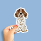 Spaniel Decal Sticker