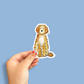 Doodle Decal Sticker - 4 inch