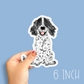 Spaniel Decal Sticker