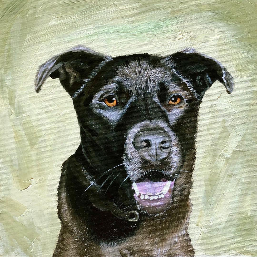 12 x 12 Custom Oil Painted Pet Portrait