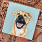12 x 12 Custom Oil Painted Pet Portrait