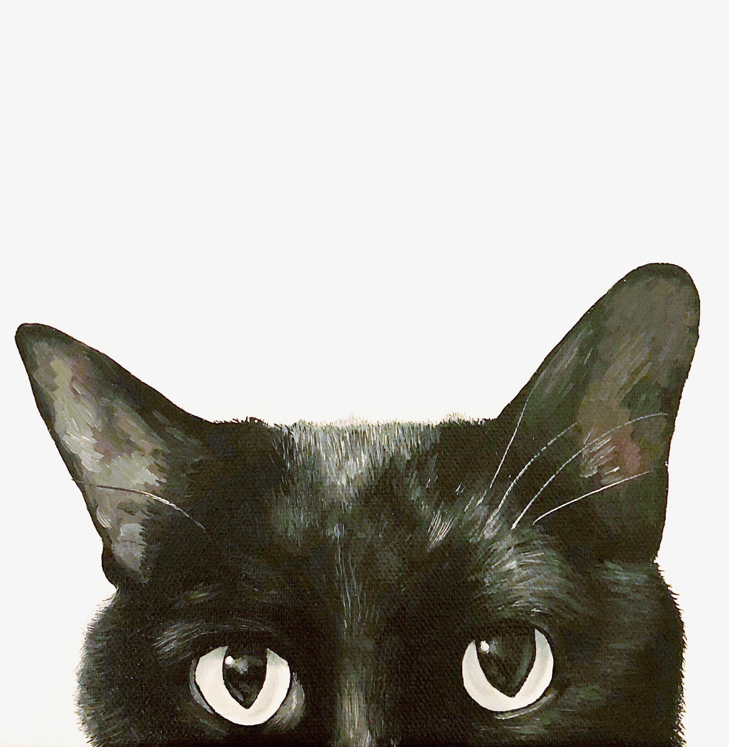 6 x 6 Close Up Custom Oil Painted Pet Portrait