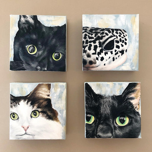 6 x 6 Custom Oil Painted Pet Portrait