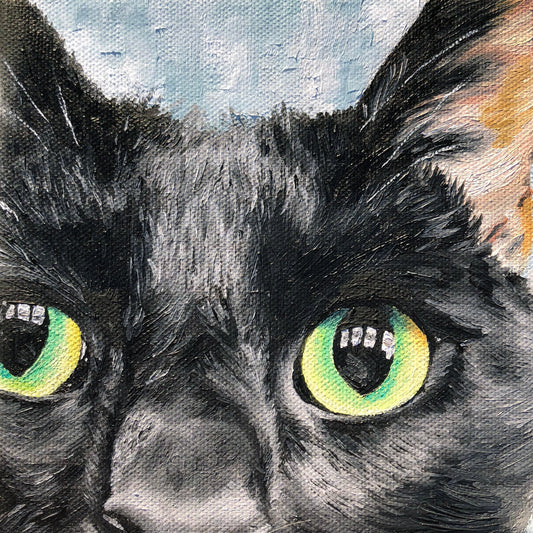 6 x 6 Close Up Custom Oil Painted Pet Portrait