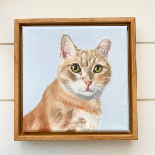 8 x 8 Custom Oil Painted Pet Portrait