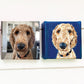 4 x 4 Custom Oil Painted Pet Portrait